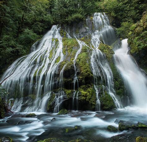 Low Angle View Of Waterfall At Gifford Pinchot National Forest ...