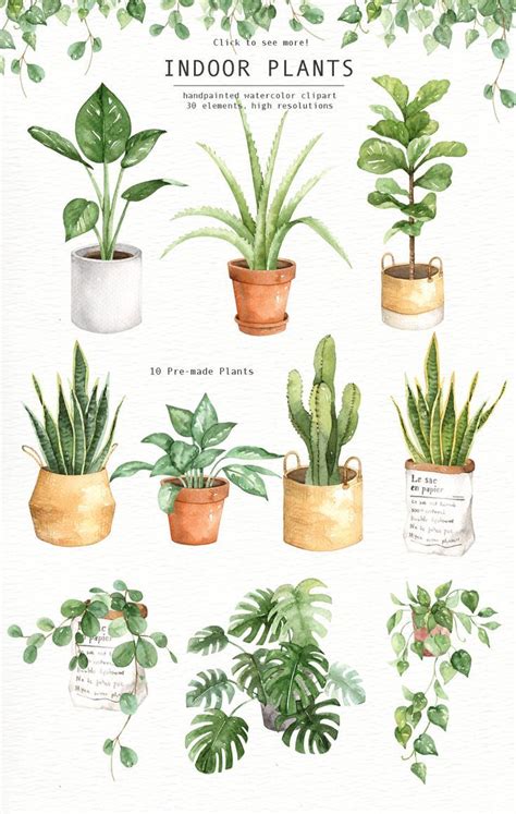 Indoor Plants Watercolor Clipart, Watercolour Leaves, Watercolor Flower, Leaf Clipart, Wedding ...