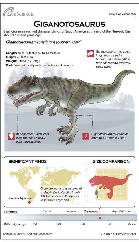 Giganotosaurus: Facts About the 'Giant Southern Lizard' | Dinosaur ...