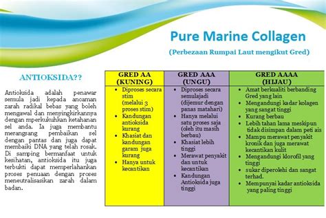 Khasiat Kolagen Rumpai Laut (Pure Marine Collagen): Perbezaan Rumpai Laut Mengikut Gred | Gred ...