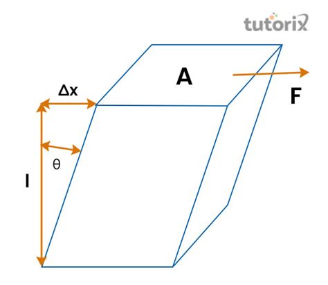 Shear Modulus Elastic Moduli