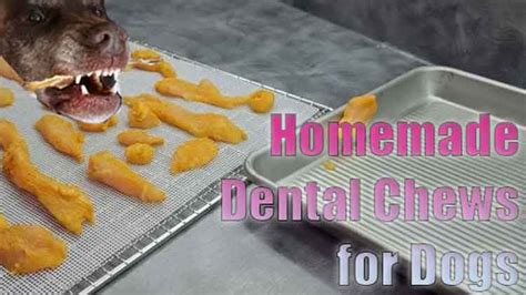 Best Homemade Dental Treats for Dogs