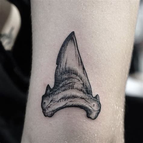 See this Instagram photo by @thebutcherbrand • 166 likes | Shark tooth tattoo, Tooth tattoo ...