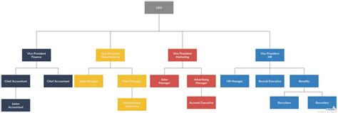 Company Organogram Template Word – Douglasbaseball.com