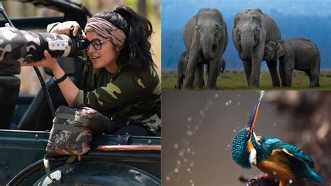 Into the Wild: These Women Wildlife Photographers Share the Story ...