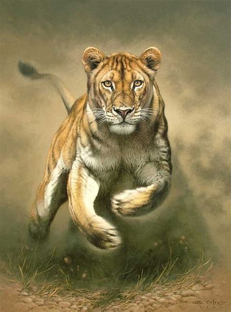 easy paintings of animals17