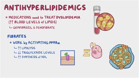 Antihyperlipidemics - Fibrates: Nursing pharmacology - Osmosis Video ...