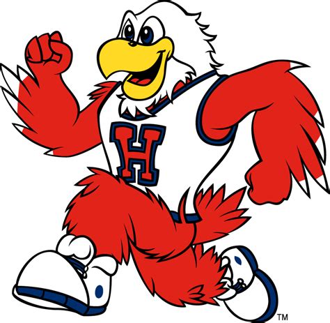 Hartford Hawks Mascot Logo - NCAA Division I (d-h) (NCAA d-h) - Chris ...