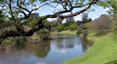 Parramatta Park (2) | Our Walks