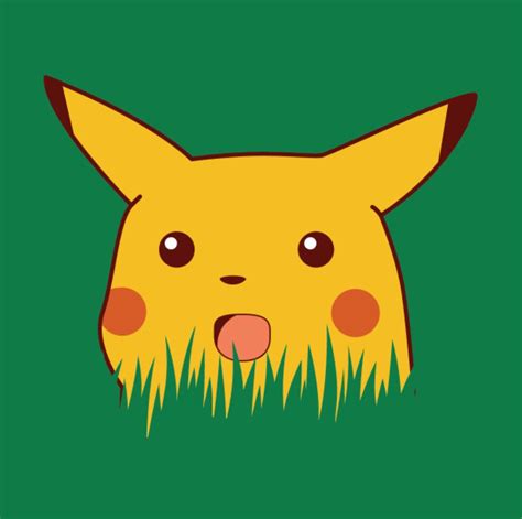 Surprised Pikachu, Pokemon | Fotos de anime engraçada, Como desenhar pokemon, Pokemon