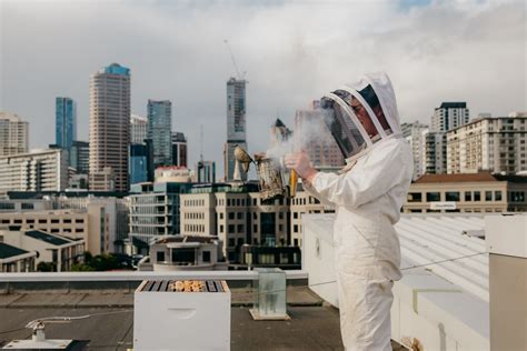 Sofitel Auckland Viaduct Harbour - Meet Our Bees