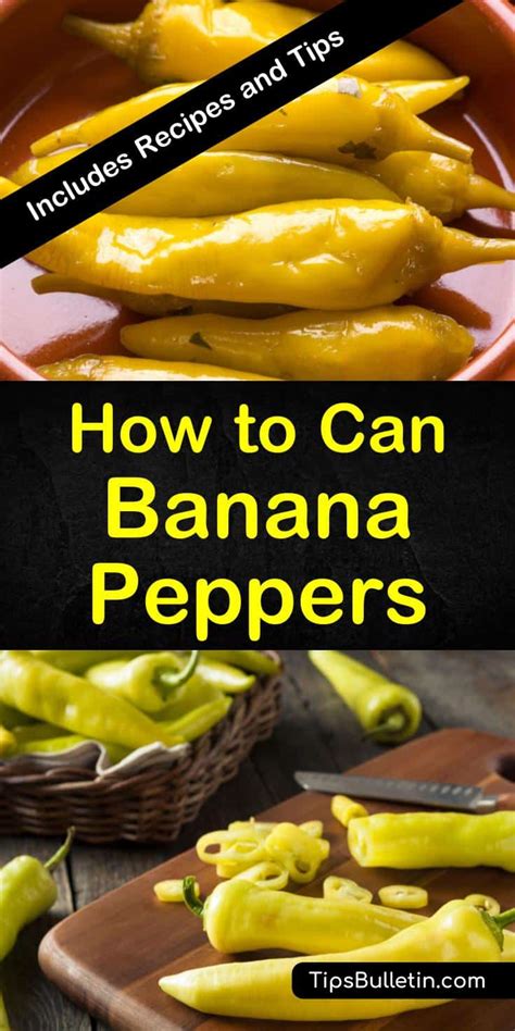 2 Excellent Ways to Can Banana Peppers (2024)