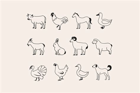 24 Farm Animal Icons - Creative VIP