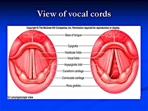 Vocal Cord Dysfunction - PowerPoint Presentation - YouTube