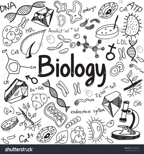 Biology Science Theory Doodle Handwriting And Tool Model Icon In White ...