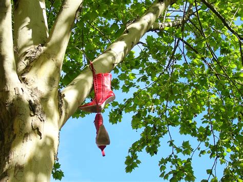 Boots on the tree | Ker Fern Tan | Flickr