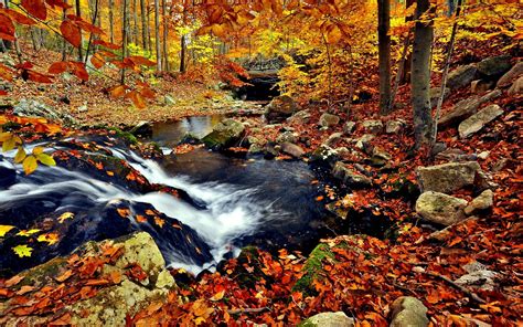 🔥 [41+] Fall Smoky Mountains Wallpapers | WallpaperSafari