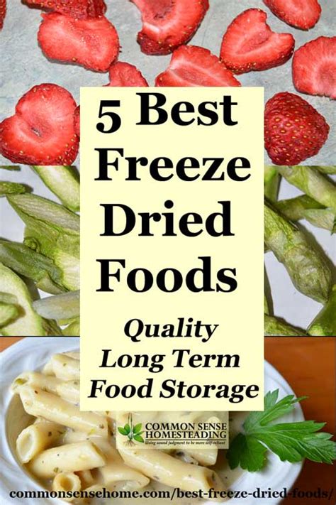 5 Best Freeze Dried Foods - Quality Long Term Food Storage