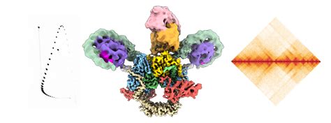 DNA Topology in genomic transactions