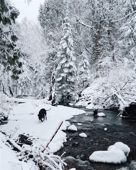 One Perfect Winter Day in Marquette, Michigan: A Local's Guide — Em's ...