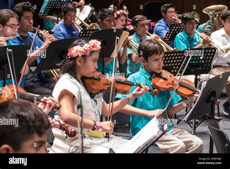 children playing violin in symphony orchestra Stock Photo - Alamy