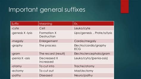 78 Amazing Lysis Medical Term Definition - insectza