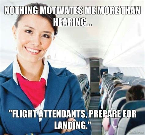 Funny Flight Attendant Quotes - ShortQuotes.cc