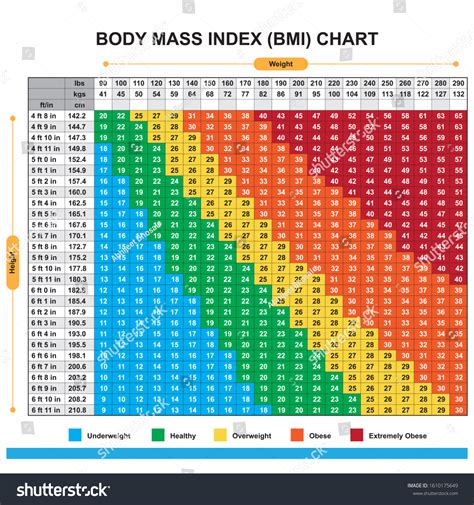 Bmi Chart Poster Body Mass Index Poster 18 X 24 Poster Laminated | Images and Photos finder