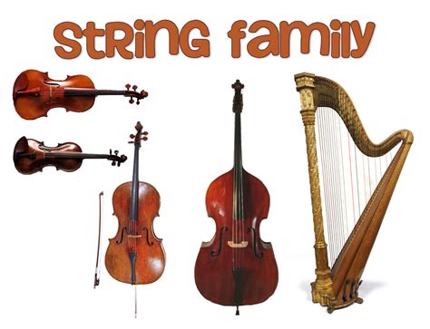 Free String Instruments Cliparts, Download Free String Instruments Cliparts png images, Free ...