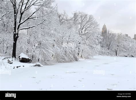 Central Park in the snow, Manhattan, New York City Stock Photo - Alamy