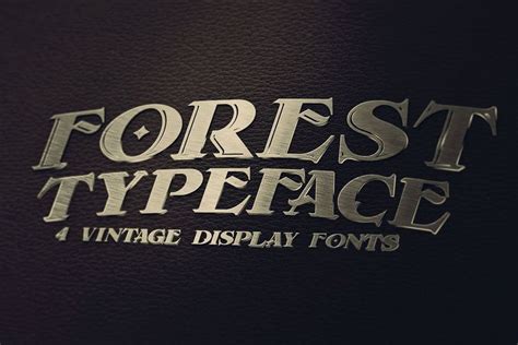 Forest - Display Font | New fonts, Vintage display, Fonts