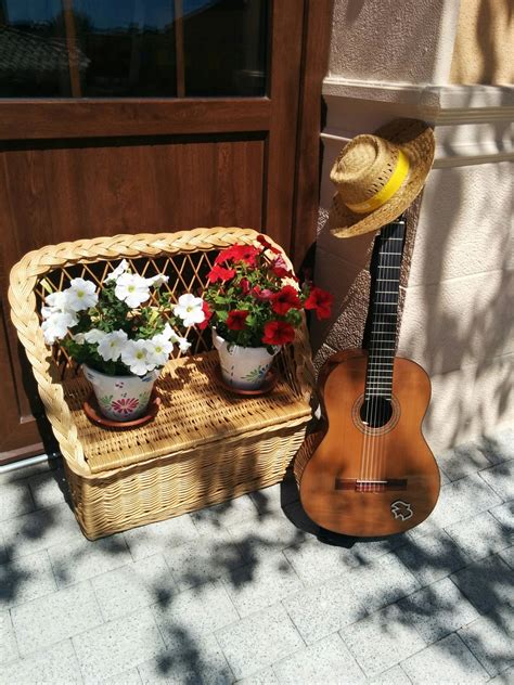 Free Images : guitar, hat, musical instrument, flowers, pots, string ...