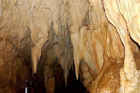 Ruakuri Cave. Waitomo Caves, New Zealand. Spectacular Ruakuri Cave is a ...