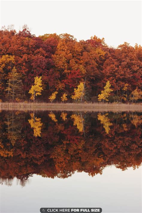 Autumn Reflections in Michigan | Autumn scenery, Beautiful nature ...