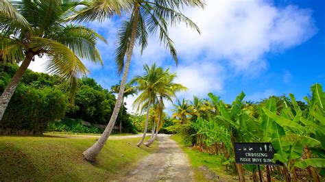 Barbados Wildlife Reserve - Speightstown ｜Expedia.com.hk