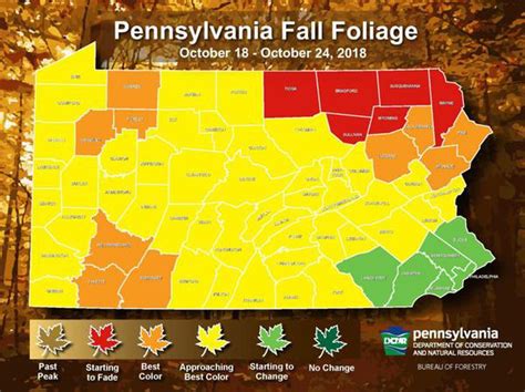 Fall foliage season in Pennsylvania: Will it ever get here? - pennlive.com