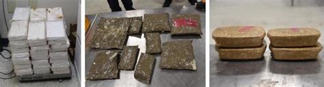 CBP seizes $1.3M in narcotics at Laredo bridges