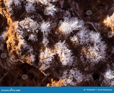 Frost crystals stock image. Image of formed, mesa, utah - 195286359