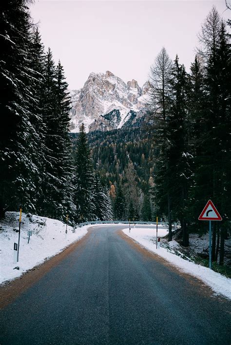 gray, concrete, road, green, trees, daytime, snow-capped mountain, distance | Piqsels