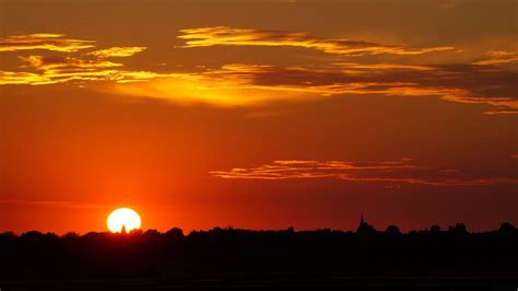 Sunset View With a Silhouette of Trees · Free Stock Photo