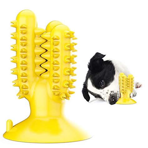 10 Best Dog Teeth Cleaning Toys Reviewed [Updated 2024 ]