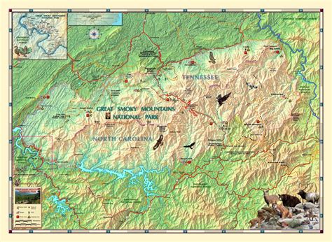 Great Smoky Mountains National Park Wall Map by Compart - The Map Shop