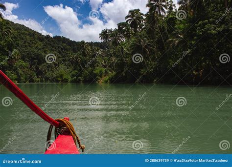 Rainforest River Cruise stock image. Image of journey - 288639739