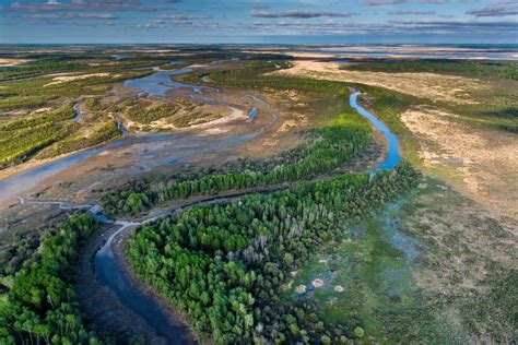 Protecting the Delta — Saskatchewan River Delta