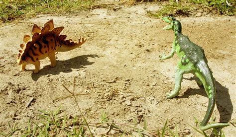 Stegosaurus VS Allosaurus by Zero-Cannard on DeviantArt