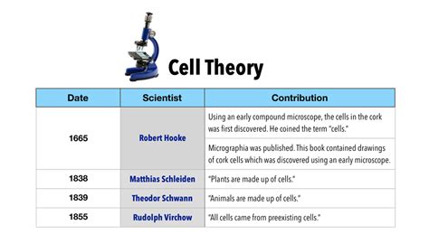 Theodor Schwann Microscope