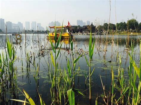 Things to see and do in Wuhan, China? - Passporter Blog