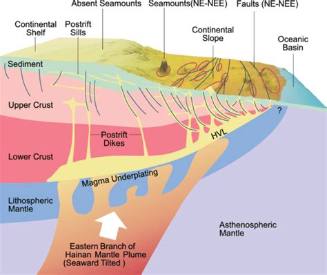 Ocean Floor Diagram Seamount | Review Home Co