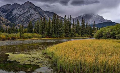 9 Best Spots for RV Camping In Rocky Mountain National Park