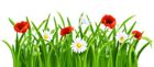 Poppies and Daisies with Grass PNG Clipart Picture | Gallery ...